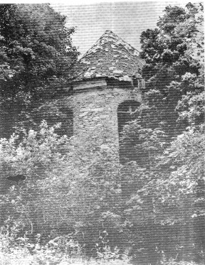 Skan_20131116 — kopia